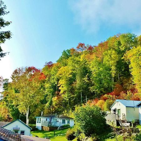 Silver Springs Cottage Resort Harcourt Екстер'єр фото