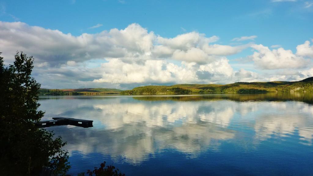 Silver Springs Cottage Resort Harcourt Екстер'єр фото