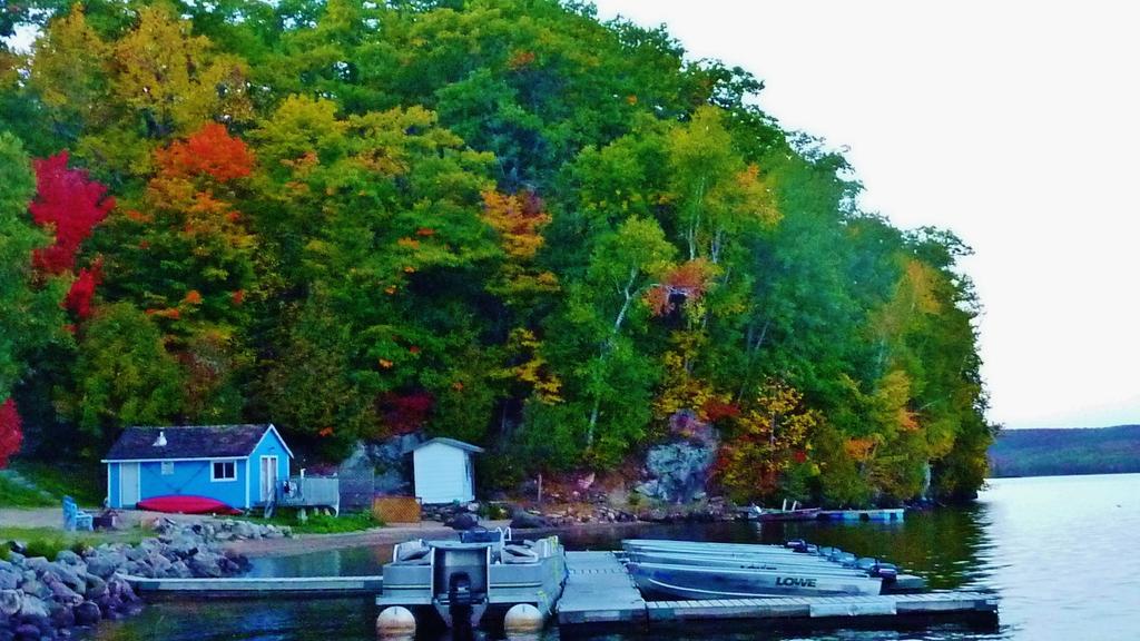 Silver Springs Cottage Resort Harcourt Екстер'єр фото