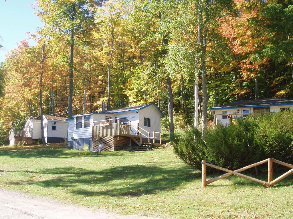 Silver Springs Cottage Resort Harcourt Екстер'єр фото