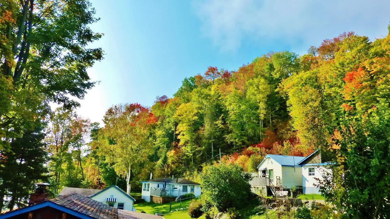 Silver Springs Cottage Resort Harcourt Екстер'єр фото